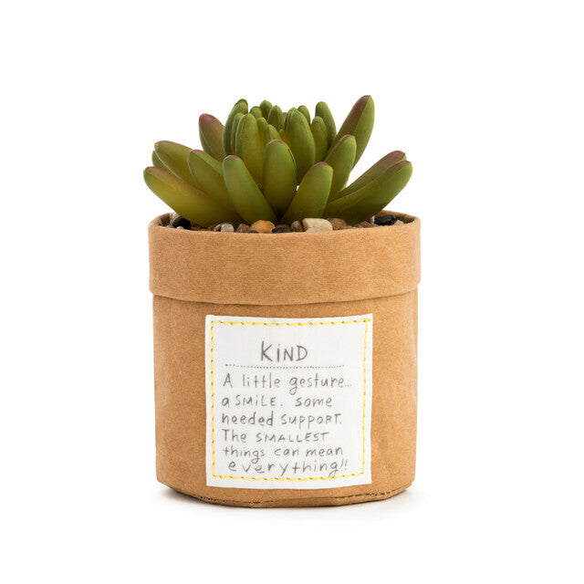 Planta bondadosa - Amable