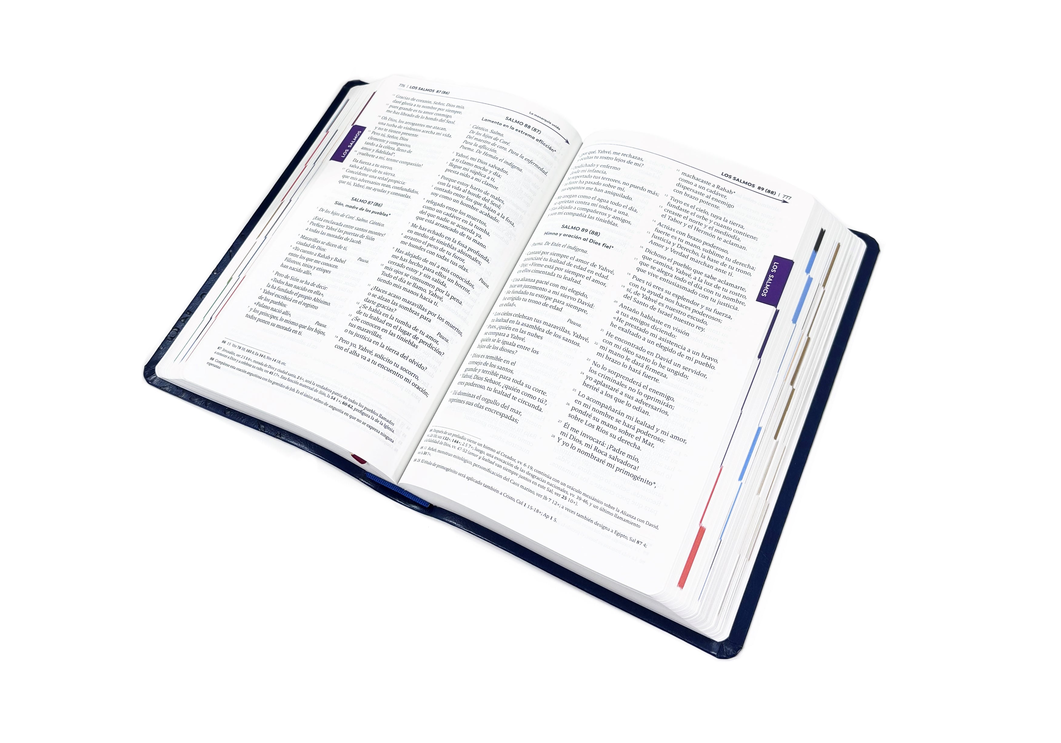 Biblia de Jerusalén Latinoamericana The Great Adventure