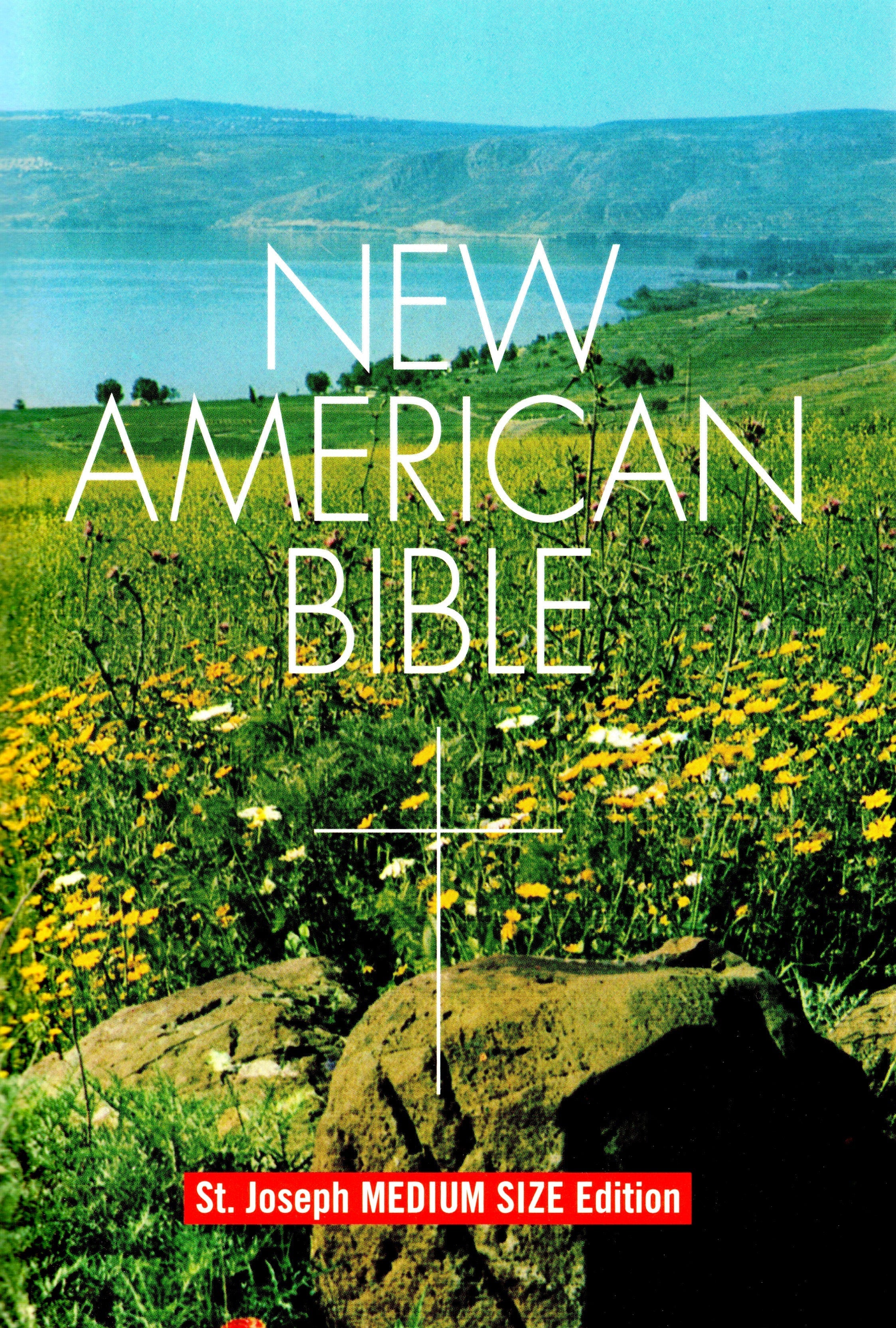 Nueva Biblia Americana