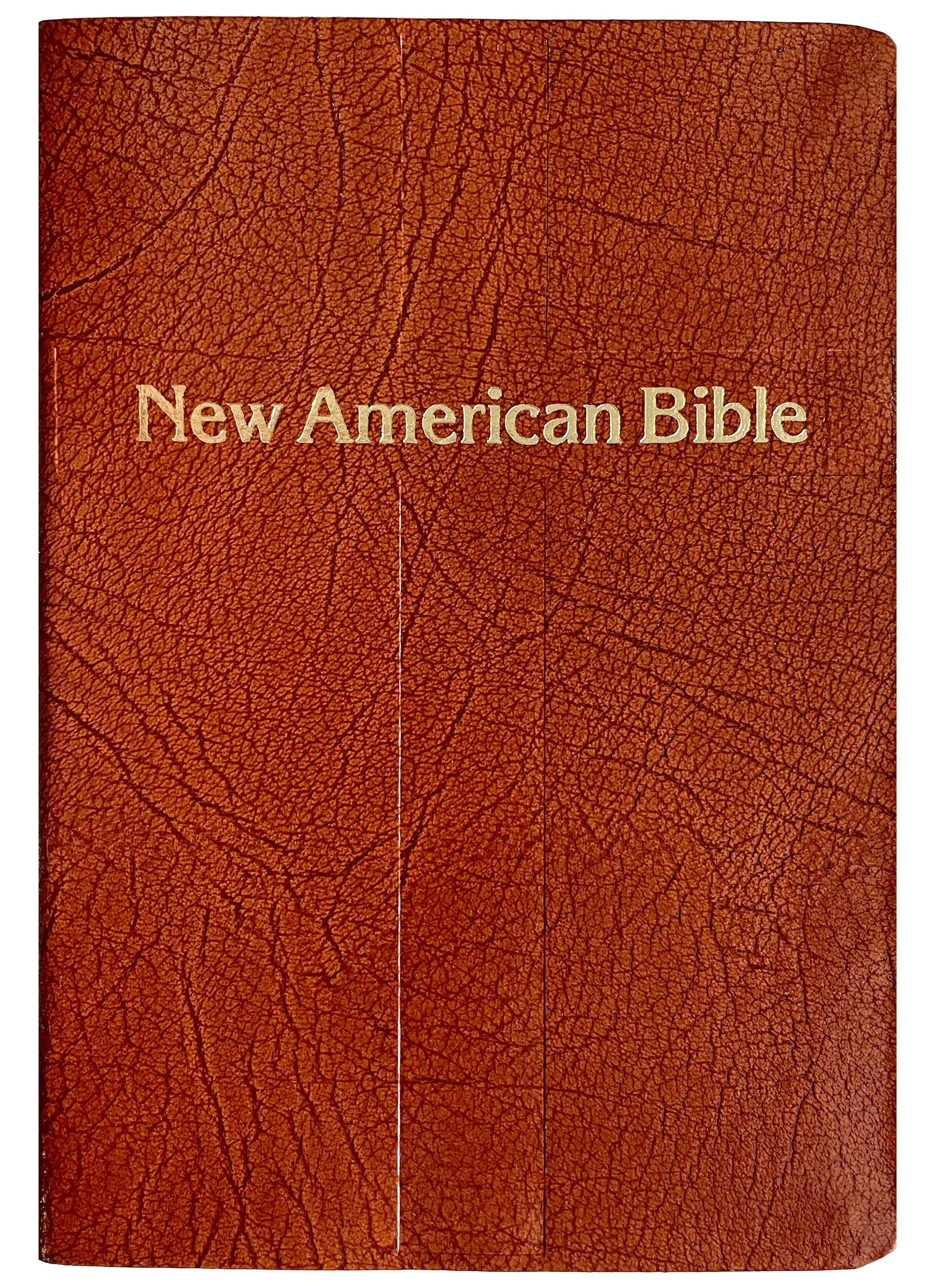 Nueva Biblia Americana - En caja de regalo