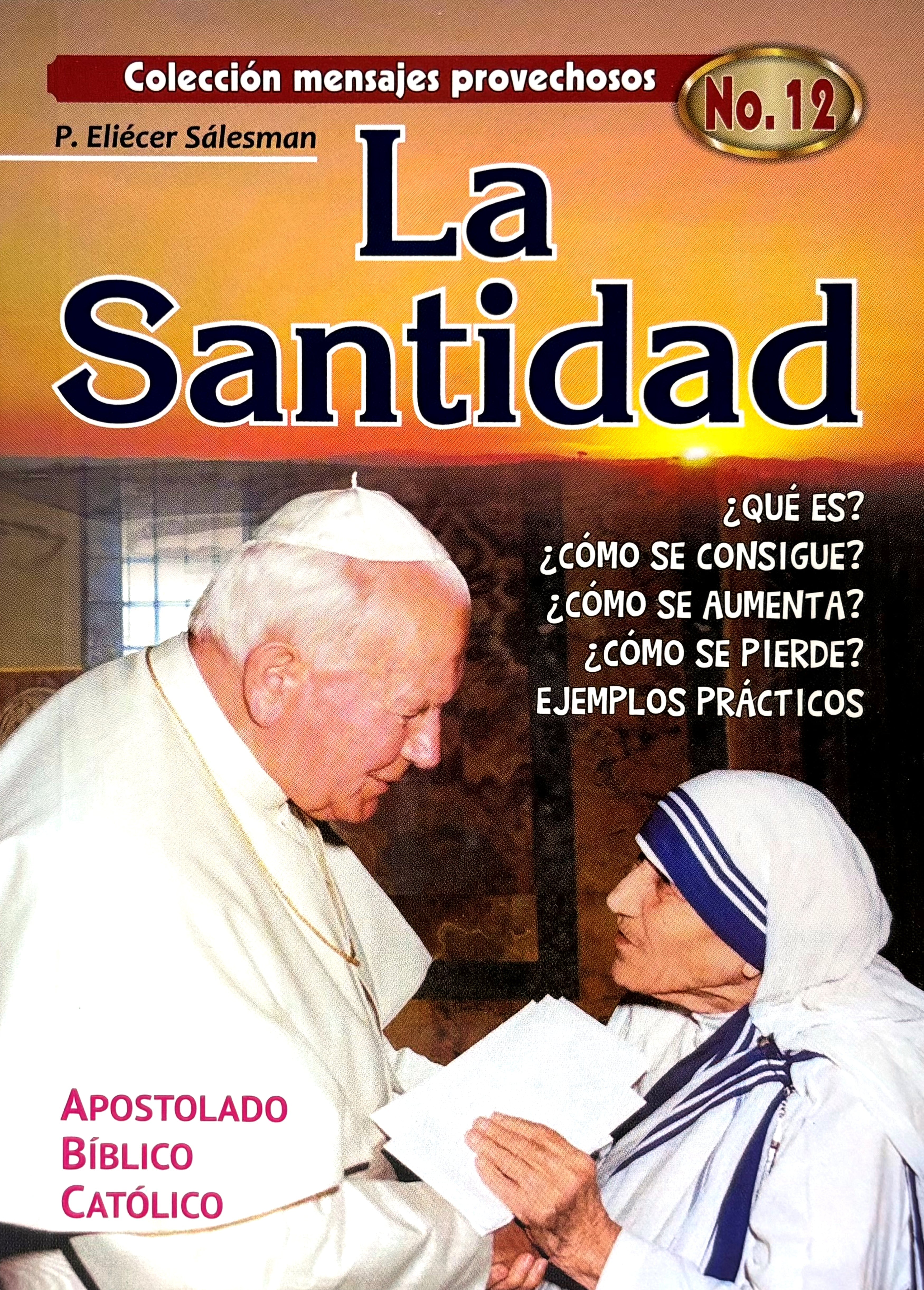 La santidad  ¿Qué es? ¿Cómo se consigue?